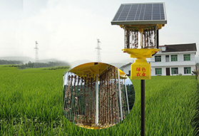 江蘇淮安水稻示范區稻田殺蟲燈案例圖片